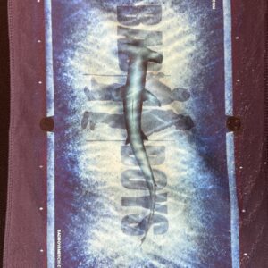 Bad Boys Blue Shark Towel